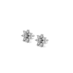 Zinnia Studs 18k White